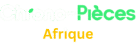 Chrono Piece Afrique